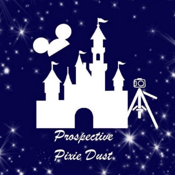 Disney Chat With Pixie Dust Fan