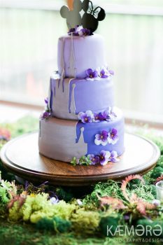 Kelsey and Kevin - the Cake | MouseMingle.com